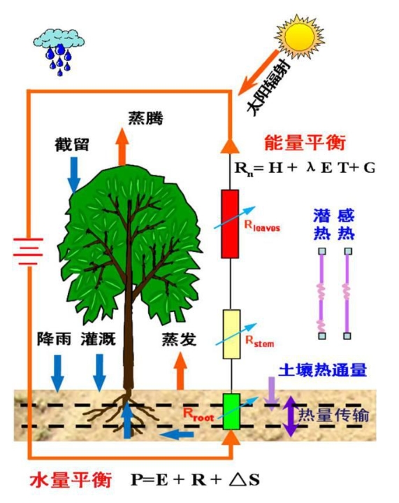 蒸散量测定方法及原理！