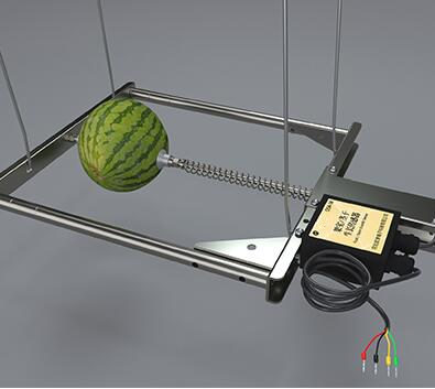 树干生长传感器、西瓜生长传感器