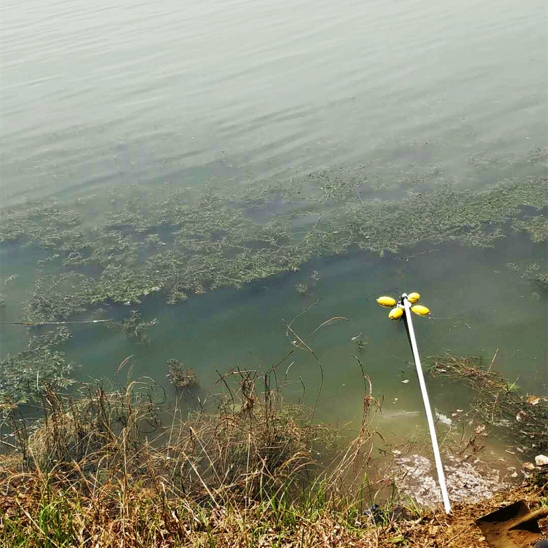 泰安市湿地公园水质监测系统落成！