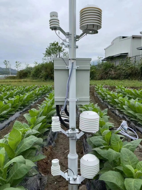 云南烟草种植基地墒情气象监测系统安装落成！